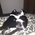 Sharon Struthers - Facebook