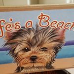 Sharon Struthers - @strutherssharon - Instagram
