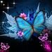 Sharon Stubblefield - Facebook