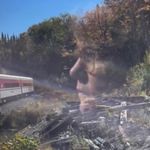 Sharon Stull - @stull.sharon - Instagram