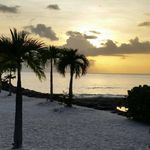 Sharon Stump - @nanastump4 - Instagram