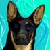 Sharon Stumpf - Facebook