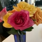 Sharon Stutzman - Facebook