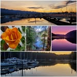 Sharon K. Summerfield - @photosbysharonksummerfield - Instagram
