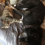 Sharon Summerfield - @king93058 - Instagram