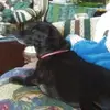Sharon Summerlin109 - @sharonsummerlin0 - TikTok
