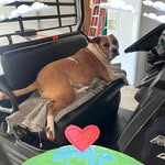 Sharon Summitt - @summittsharon - Instagram