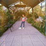 sharon - @sharonsutter09 - Instagram