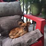 Sharon Sutter - @sharon.sutter - Instagram