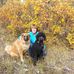 Sharon Swallow - Facebook