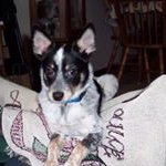 Sharon Symonds - @bark13le - Instagram