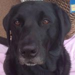 Sharon Symonds - @sharon.symonds.79 - Instagram
