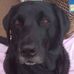Sharon Symonds - Facebook