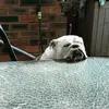 Sharon Symonds - @sharonsymonds - TikTok