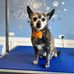Sharon Symonds - Facebook