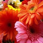 Sharon Tabler - @sharon.tabler.5 - Instagram