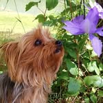 Sharon Tallon - @sharontallon - Instagram