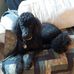 Sharon Tallon - Facebook