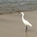 Sharon Tallon-Goulet - @tallon_goulet - Instagram