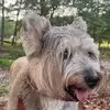 Shari Tarpley - @shari.tarpley - TikTok