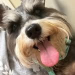 Sharon Tarver - @sharon_let_me_off - Instagram