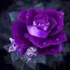 Sharon Teague555 - @smteague30 - TikTok