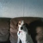 Sharon Teague - Facebook