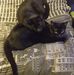Sharon Teague - Facebook