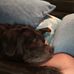 Sharon Tedder - Facebook