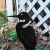 Sharon Templin - @sharon.templin4 - TikTok