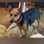 Sharon Tew - @shart2531 - Instagram