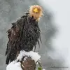 sharontew70 - @sharontew70 - TikTok