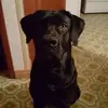 sharontew860 - @sharontew860 - TikTok