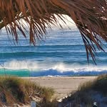 Sharon Theis - @sharon.theis.1959 - Instagram