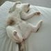 Sharon Thurston - Facebook