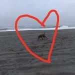 Sharon Thurston - @sharonthurston - Instagram