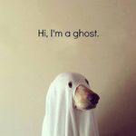 Sharon Tilley - @sharon.tilley.9 - Instagram