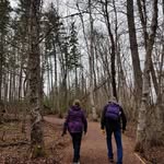 Sharon Tindall - @marsden20 - Instagram