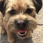 Sharon Tindall - @stabbythecat - Instagram