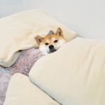 @sharon.ting - Instagram