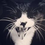 Sharon Tipton - @sharon.tipton.50 - Instagram