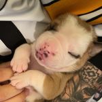 Sharon Tipton - @bodiethaolde - Instagram