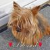 Sharon Toal - Facebook