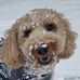Sharon Mary Tomlinson - Facebook