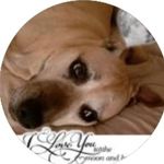 Sharon Tomlin - @tomlin67191 - Instagram