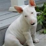 Sharon I. Totten - @sharon.i.totten - Instagram