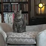 Sharon Tracy - @sharon.tracy.71653 - Instagram
