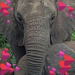 Sharon Travers - @sharon.travers.16463 - Instagram