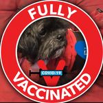 Sharon Treadwell - @treadwellshaz - Instagram