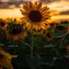 Sharon Troisi - @sharon.troisi7 - TikTok
